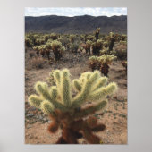 Poster Cholla Cactus Joshua (Devant)