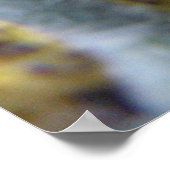 Poster Chou affamé Canapés blancs Imprimer (Coin)