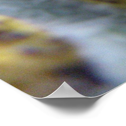 Poster Chou affamé Canapés blancs Imprimer (Coin)