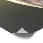 Poster Chou Baby Koala Bear Chambre de bébé  (Coin)