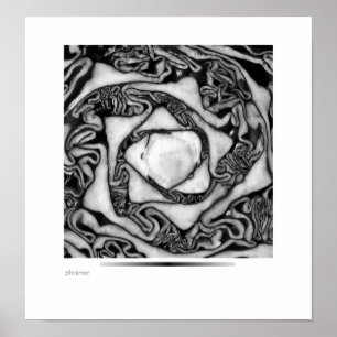 Poster chou, noir et blanc