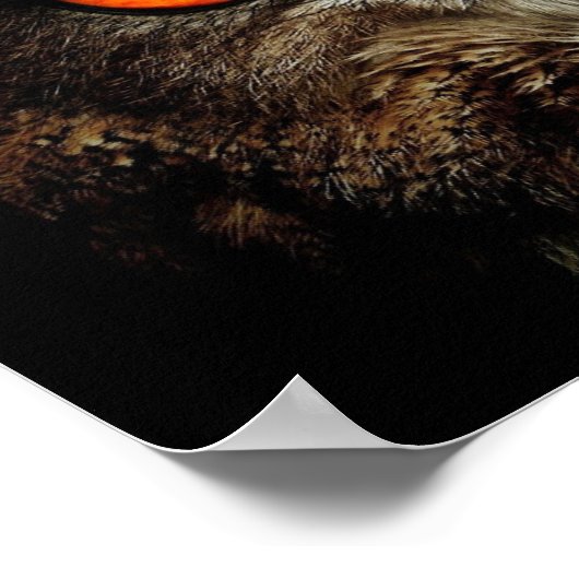 Poster Chouette (Coin)