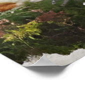 Poster Chouette (Coin)