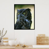 Poster Chouette (Cuisine)