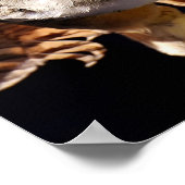 Poster Chouette (Coin)