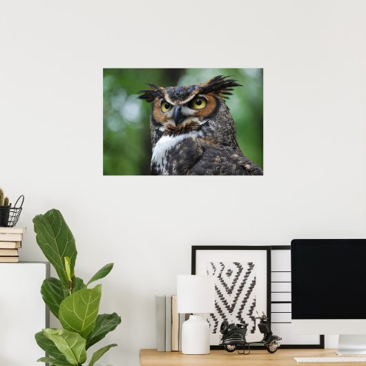 Poster Chouette à cornes (Bureau à domicile)