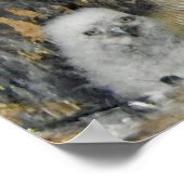 Poster Chouette à cornes avec hibou (Coin)