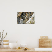 Poster Chouette à cornes avec hibou (Cuisine)