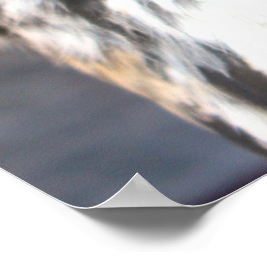 Poster Chouette à cornes (Bubo virginianus) (Coin)