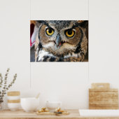 Poster Chouette à cornes (Bubo virginianus) (Cuisine)