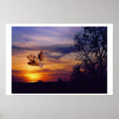 Poster Chouette à coucher de soleil mixte (Devant)