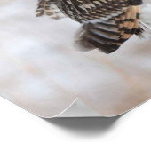 Poster Chouette à courte portée (Coin)