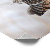 Poster Chouette à courte portée (Coin)