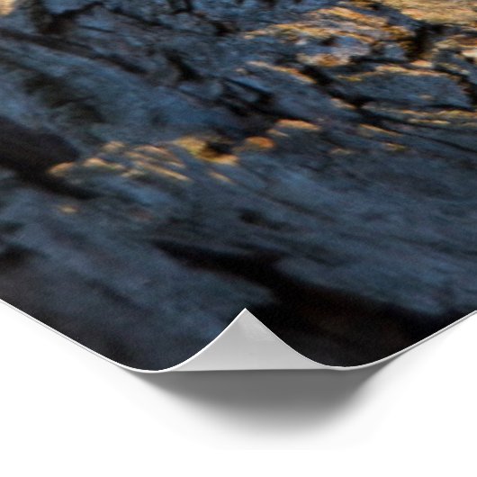 Poster Chouette à cris de l'Est (Coin)