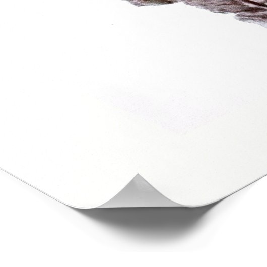 Poster Chouette à grande corne (Coin)