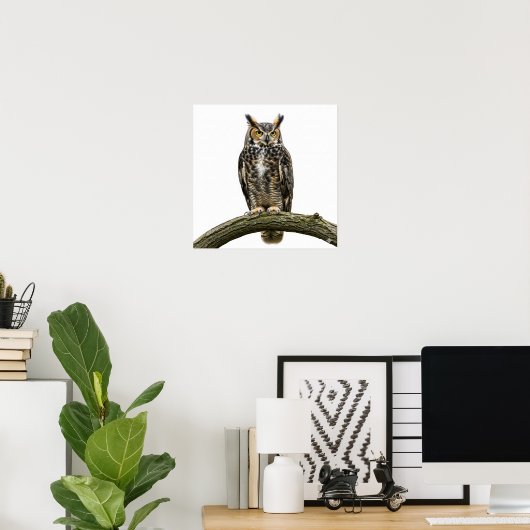 Poster Chouette à grande corne (Bureau à domicile)