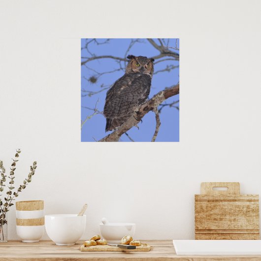Poster Chouette à grande corne (Cuisine)