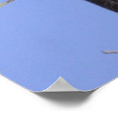 Poster Chouette à grande corne (Coin)