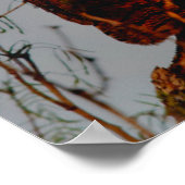 Poster Chouette à grande corne | PLEINE LUNE (Coin)