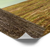 Poster Chouette à l'automne Conception de l'érable - Oise (Coin)