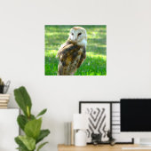 Poster Chouette à l'étable (Bureau à domicile)