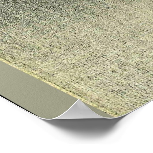 Poster Chouette à longue portée sur une branche d'arbre (Coin)