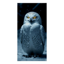 Chouette à oeil roux en neige - mystérieuse Alaska