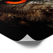Poster Chouette-aigle (Coin)