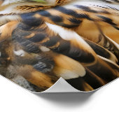 Poster Chouette Animal Nature Faune Affection Soin (Coin)