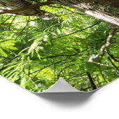 Poster Chouette au jardin botanique Van Dusen Vancouver C (Coin)