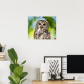 Poster Chouette barrée (Bureau à domicile)