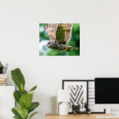 Poster Chouette barrée en vol (Bureau à domicile)