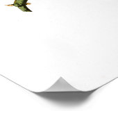 Poster Chouette barrée John James Audubon Oiseaux d'Améri (Coin)