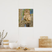 Poster Chouette barrée (Strix varia) perchée dans un cypr (Cuisine)
