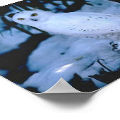 Poster Chouette blanche (Coin)
