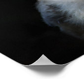 Poster Chouette blanche à la broche avec un regard perçan (Coin)
