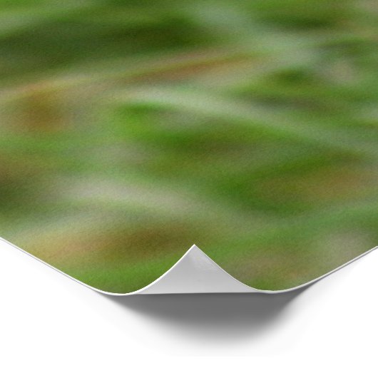 Poster Chouette brulante n° 1 (Coin)