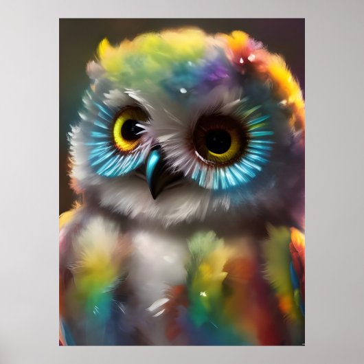 Poster Chouette colorée Fluffée (Devant)