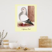 Poster Chouette d'Afrique bleue Pigeon (Cuisine)