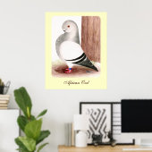 Poster Chouette d'Afrique bleue Pigeon (Bureau à domicile)