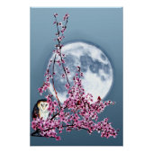 Poster Chouette dans l'arbre du prune (Devant)