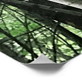 Poster Chouette dans les arbres, Oregon (Coin)