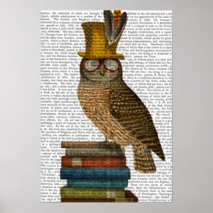 Poster Chouette dans les livres