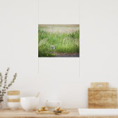 Poster Chouette Dans L'Herbe (Cuisine)
