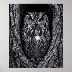 Poster Chouette dans un arbre noir et blanc