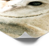 Poster Chouette d'aquarelle mignonne (Coin)