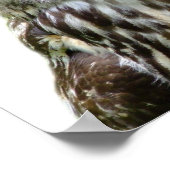 Poster Chouette de la forêt sauvage, photo pépinière peek (Coin)