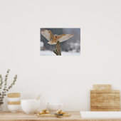 Poster Chouette de la grange qui atterrit pour atteindre  (Cuisine)
