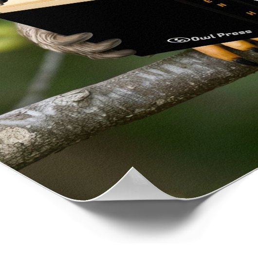 Poster Chouette de lecture (Coin)