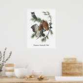 Poster Chouette de l'Est, John Audubon (Cuisine)